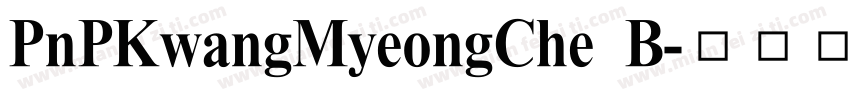 PnPKwangMyeongChe B字体转换